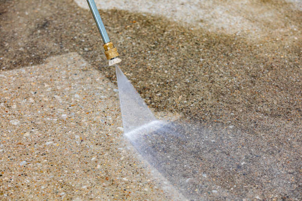 Best Sidewalk and Walkway Cleaning  in Gravette, AR